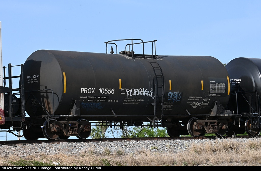 PRGX 10556